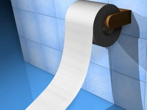 toilet paper 3D Model