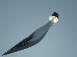 elf sword 3D Модель