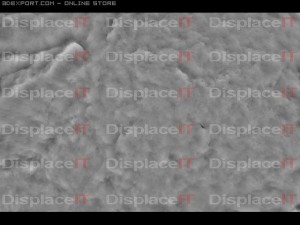 lichen stone 1 CG Dokuları