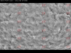 lichen stone 2 Tekstur CG