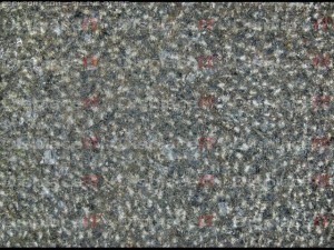 treated cuts CG Textures