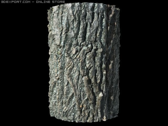 ashen bark Tekstur CG .c4d .max .obj .3ds .fbx .stl .blend 