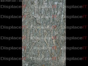 ashen bark Tekstur CG