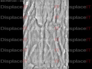 ashen bark Tekstur CG