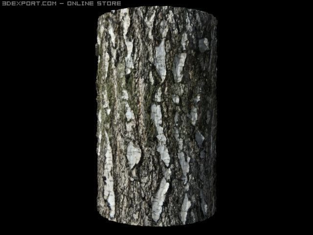birch bark tiled CG Textures .c4d .max .obj .3ds .fbx .stl .blend 