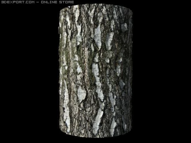 birch bark tiled CG Textures .c4d .max .obj .3ds .fbx .stl .blend 