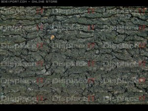birch bark tiled CG Textures