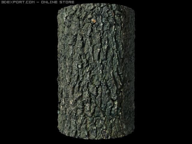 oak bark Tekstur CG .c4d .max .obj .3ds .fbx .stl .blend 