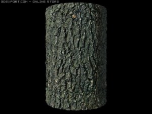 oak bark CG Textures