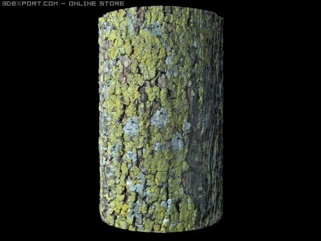 sycamore bark CG Текстури .c4d .max .obj .3ds .fbx .stl .blend 