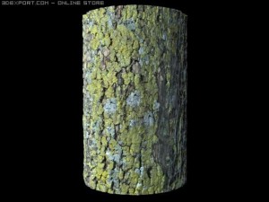 sycamore bark CG Textures