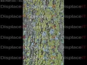sycamore bark CG Textures