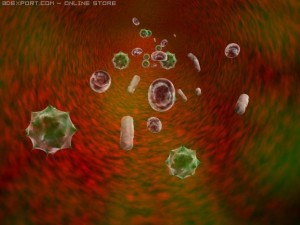 viruss Model 3D