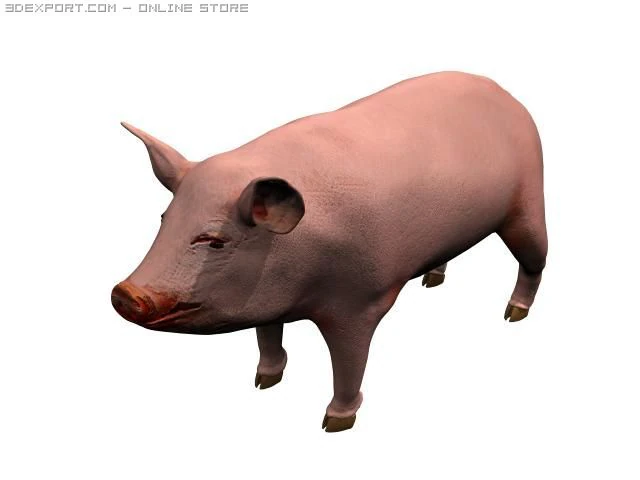 cochon Modèle 3D .c4d .max .obj .3ds .fbx .stl .blend 