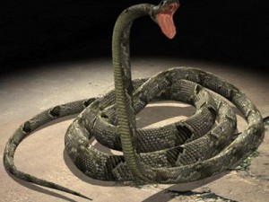big snake 3D Model