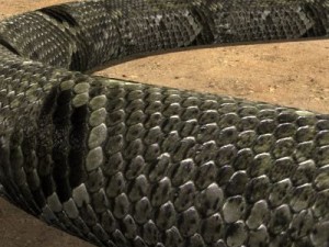 big snake 3D Модель