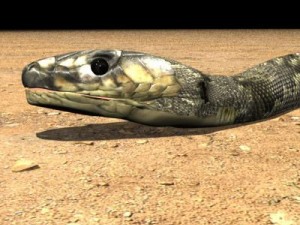 big snake 3D Модель