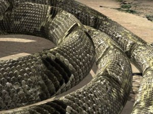 big snake 3D Модель