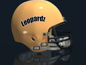 football helmet 3D 模型