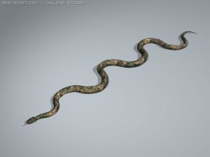 python Modèle 3D