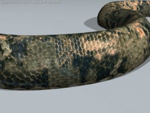python Modèle 3D