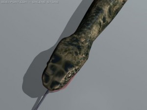 python Modèle 3D
