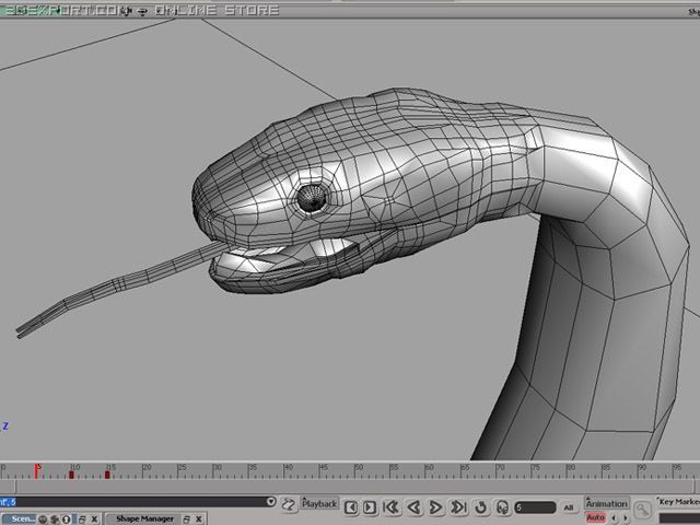 Snake Python 3d Model