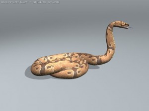 boar constrictor 3D Модель