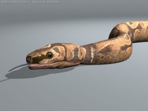 boar constrictor 3D Model