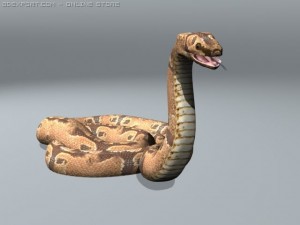 boar constrictor 3D Model