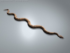 boar constrictor 3D Model