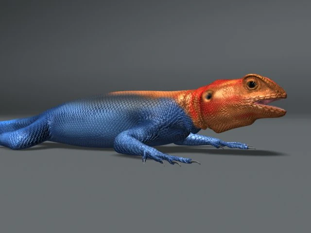rainbow lizard 3D Model .c4d .max .obj .3ds .fbx .stl .blend 