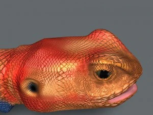 rainbow lizard 3D Model