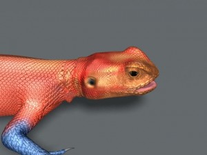 rainbow lizard 3D Model