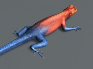 rainbow lizard 3D Model