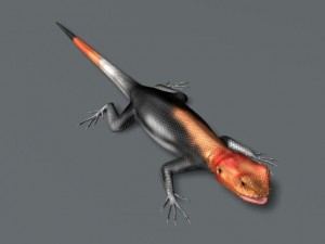 rainbow lizard 3D Model
