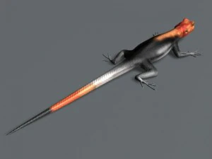 rainbow lizard 3D Model