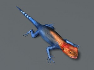 rainbow lizard 3D Model
