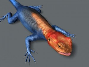 rainbow lizard 3D Model