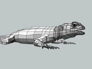 rainbow lizard 3D Model