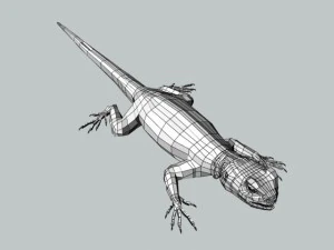 rainbow lizard 3D Model