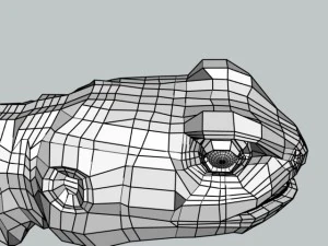 rainbow lizard 3D Model