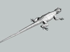 rainbow lizard 3D Model