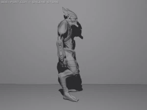 闇のテンプル騎士団の狂信者 3Dモデル