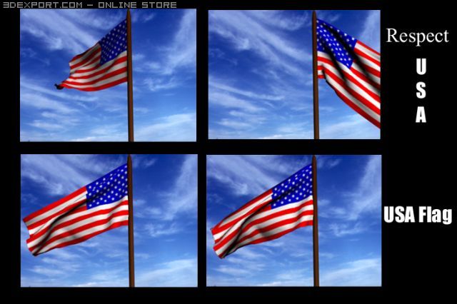 animated usa flag 3D Model .c4d .max .obj .3ds .fbx .stl .blend 