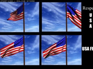 animated usa flag Modèle 3D