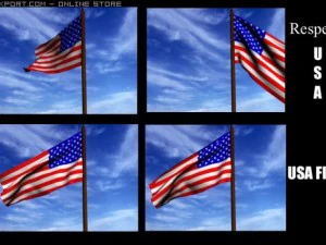 bandiera americana animata Modello 3D