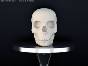 scull Modelo 3D