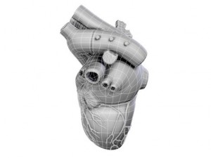 heart 3D Model