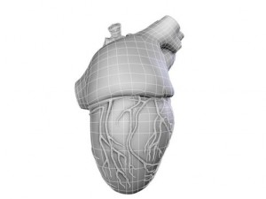 heart 3D Model